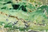 Polished Green-White Opal Slab - Western Australia #132926-1